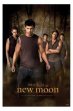 Twilight Poster - New Moon Wolf Pack
